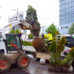 Cladire-de-birouri-Bucharest-One - Amenajare-peisagistica-by-Greenshop-Rulouri-de-gazon