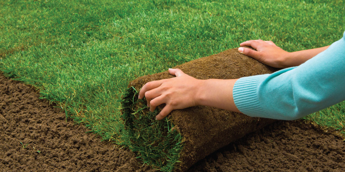 Cum-a-devenit-gazonul-noul-hobby-romanesc