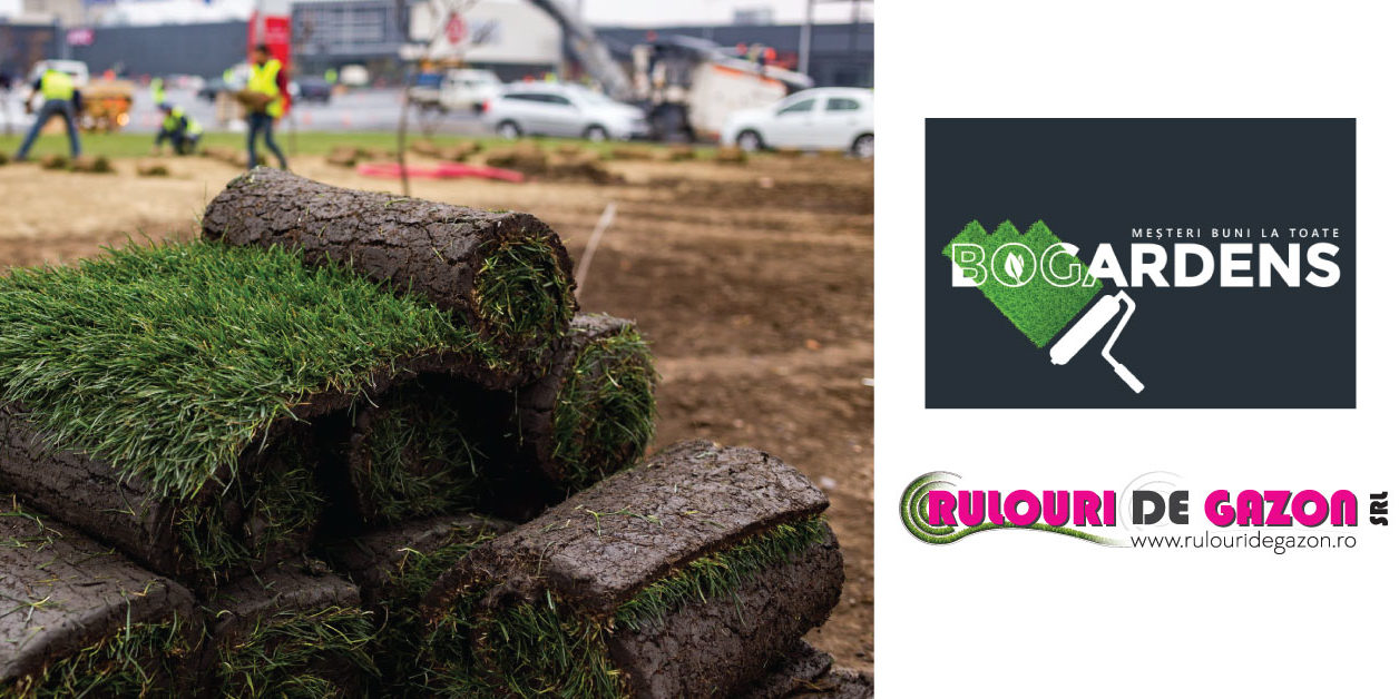 10.000-de-m2-de-gazon-la-Roman—Partener-distribuitor-BoGardens